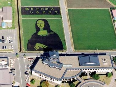 MELUKIS SAWAH SENI UNIK DARI JEPANG