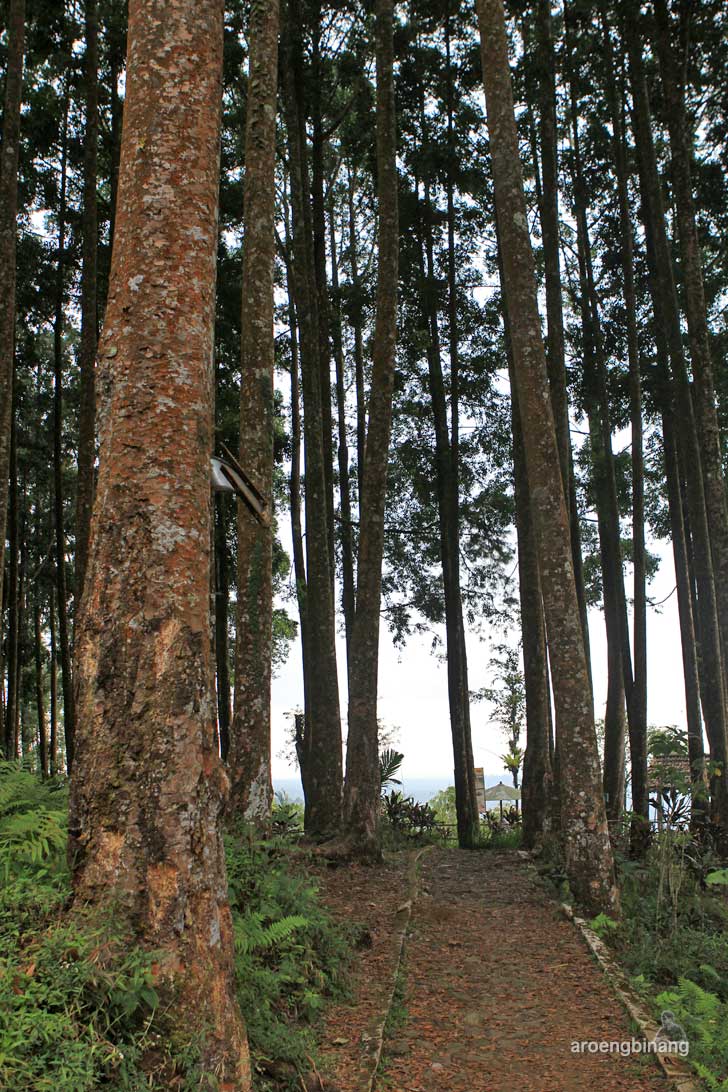 &#91;CoC Regional: Lokasi Wisata&#93; Gardu Pandang Baturraden Banyumas