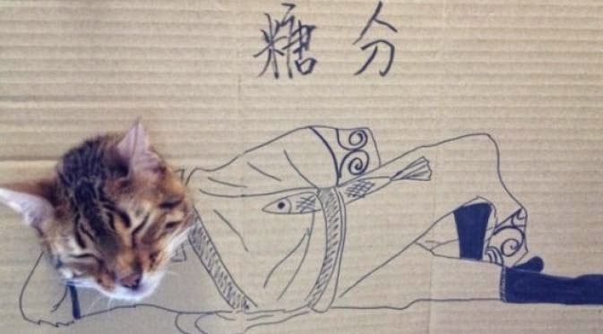 Lucunya Cosplay yang Dilakukan Kucing di Jepang