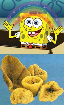 Jenis Jenis Hewan  Laut  dalam Serial Kartun SpongeBob  