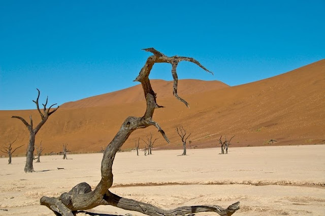 Lanskap Aneh Deadvlei Namibia