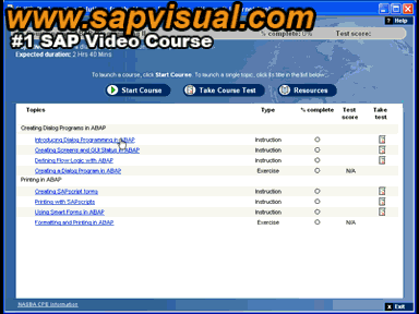 Paket Soft ERP: SAP IDES R/3 + Simulator + CBTs + Video + Interview Books