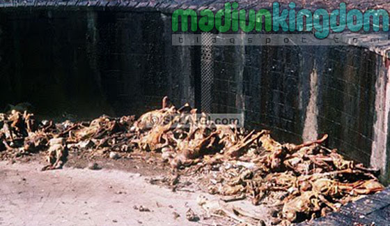 Foto: inilah pemakaman Yang Mengerikan di Dunia