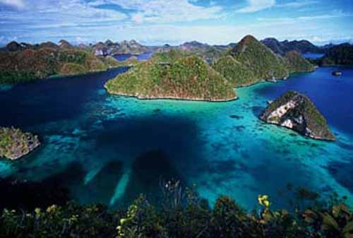 Pesona Keindahan Raja AMPAT,Taman Laut Terbesar Didunia