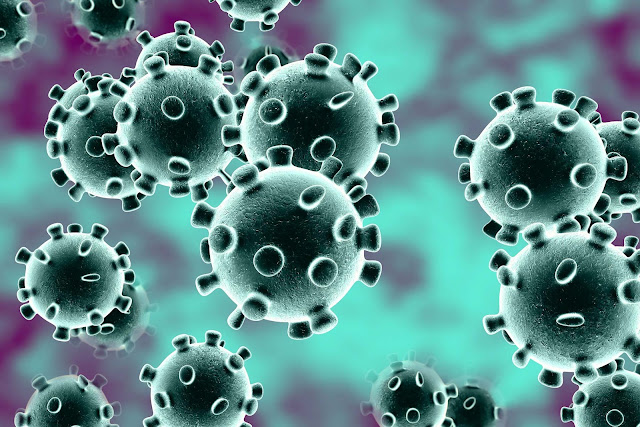 Mengenal 2019-nCoV, Nama Resmi Virus Corona Jenis Baru di China