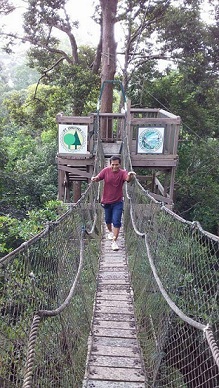 Bukit Bengkirai
