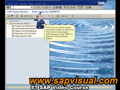 Paket Soft ERP: SAP IDES R/3 + Simulator + CBTs + Video + Interview Books