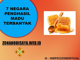 7 Negara Penghasil Madu Terbanyak