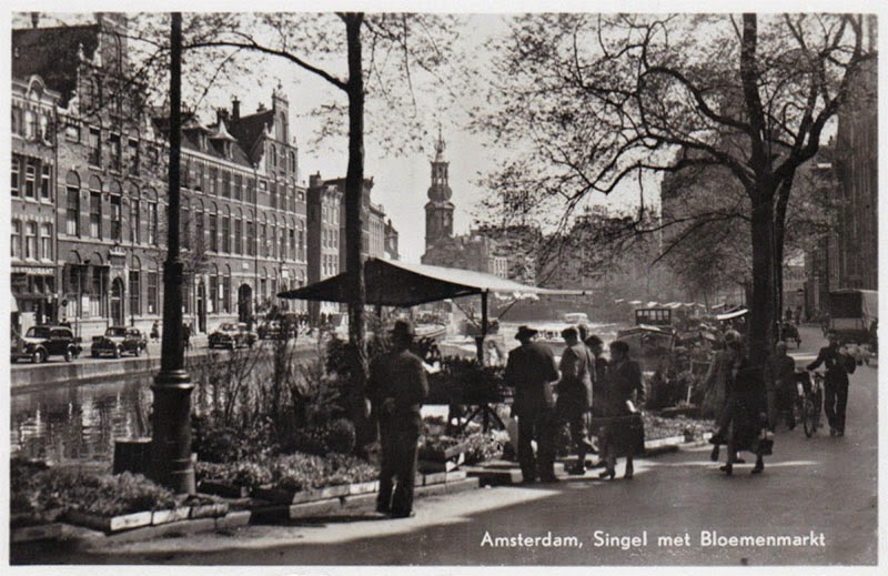 Indahnya Warna-Warni di Pasar Bunga Bloemenmarkt, Amsterdam