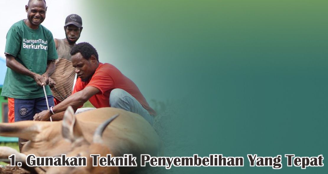  Tips Mudah Olah Daging Qurban Agar Empuk dan Tidak Bau !