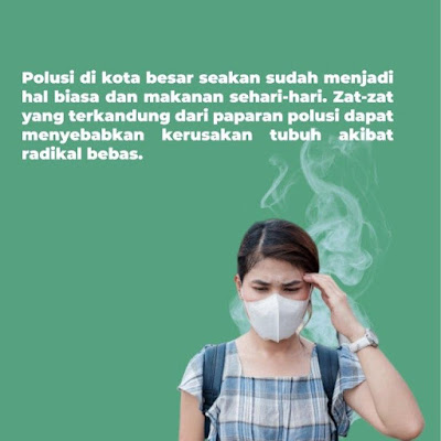 INI DIA Manfaat Daun Kelor Yang Efektif Tingkatkan Imunitas Tubuh Saat Pandemi Corona