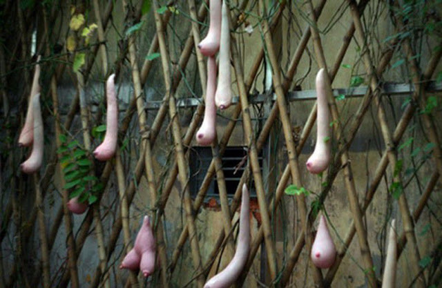 buah beneran yang sexy bb++