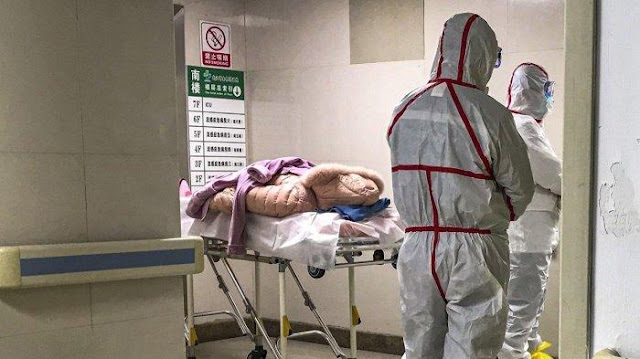 Bisa Menyebar Cepat WHO Peringatkan Virus Wuhan, Apa Sih Bahayanya?