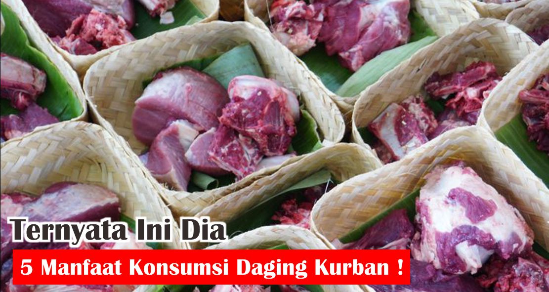 ini-dia-manfaat-daging-qurban-yang-jarang-diketahui