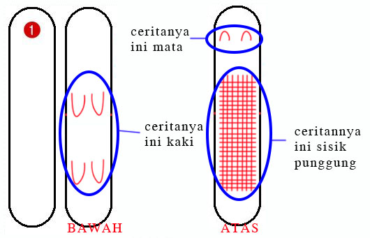 Cara Membuat Sosis dengan Bentuk yang Unik dan Menarik 