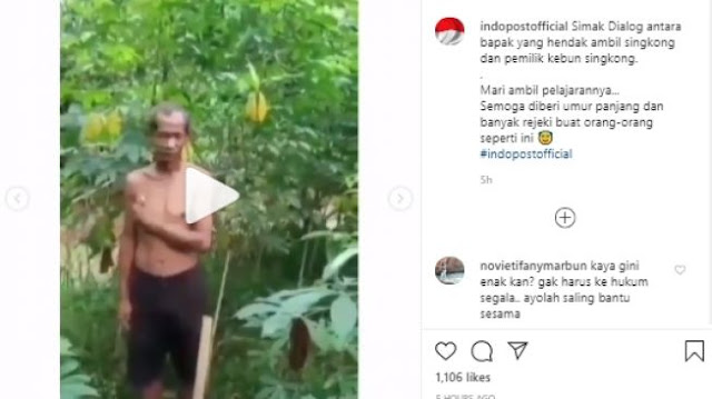 Viral Video Kakek Tepergok Curi Singkong, Reaksi Pemilik Kebun Malah Begini
