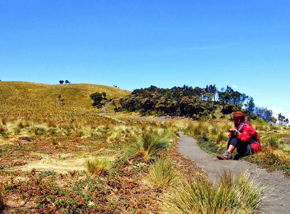 &#91;CATPER&#93; Menerjang Debu Merbabu via Selo &#91;31 Agustus - 2 September 2014&#93;