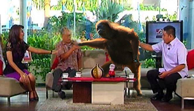 ahok-sebut-fpi-saat-demo-baru-disemprot-air-sudah-kabur