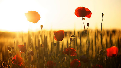 5-keistimewaan-hari-jumat-yang-wajib-umat-islam-ketahui