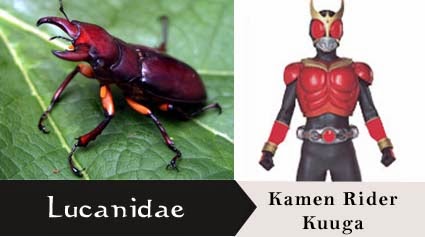  Spesies Serangga Yang Menjadi Motif Kamen Rider