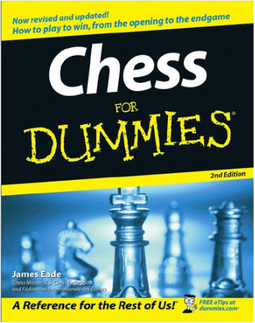 catur-tempat-ngumpulnya-pecinta-catur---chess-lovers-yang-mau-belajar-juga-boleh