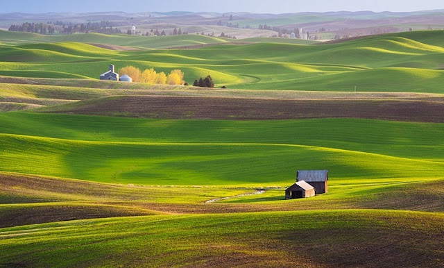 Padang Rumput Palouse Paling Cantik Di Dunia