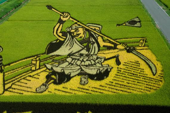 MELUKIS SAWAH SENI UNIK DARI JEPANG