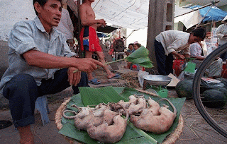 10 Makanan Paling Extreme Di Dunia