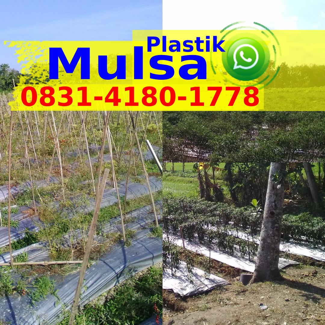 Harga Plastik Mulsa Per Gulung 0831~4180~1778{WhatsApp}