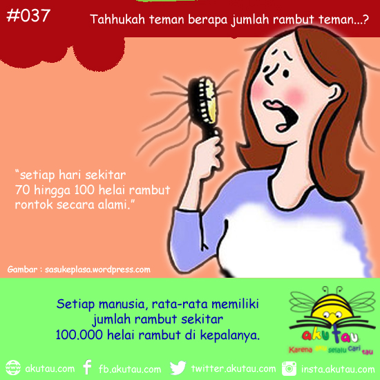 Tahukah teman berapa jumlah helai rambut teman...?
