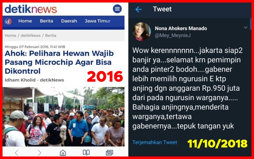 KTP Anjing': Program Ahok yang Dibully Pendukung Ahok