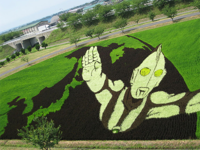 9 Design Unik Sawah di Jepang, Yang Bikin Agan Pingin Foto Disana!