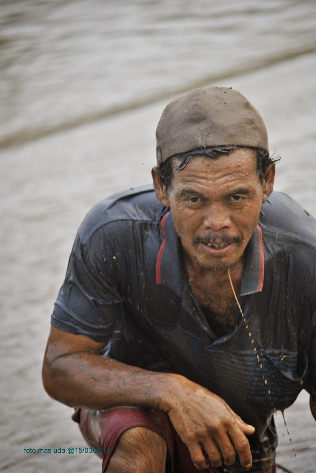 &#91;Sumatera Barat&#93; Pacu Jawi nan Eksotis 