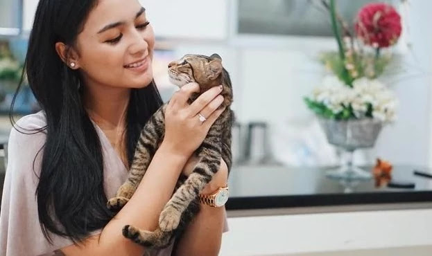 Kucing Artis Dengan Harga yang Fantastis