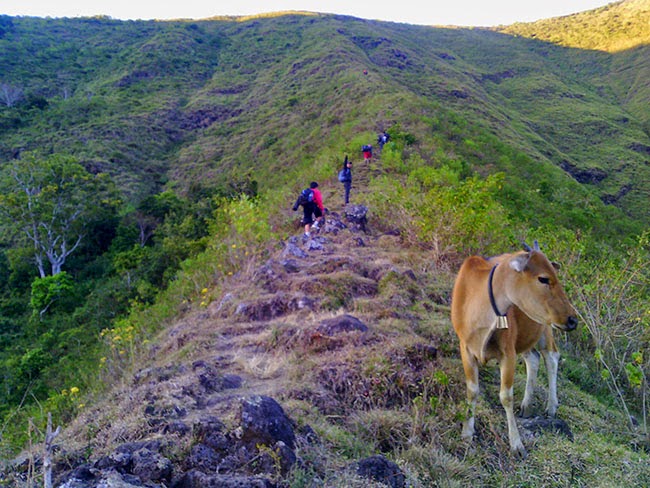 Jalan-Jalan ke Bukit Pergasingan, Sembalun, Lombok Timur 