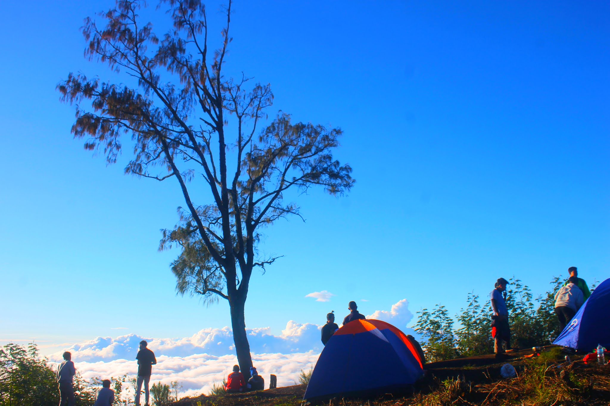 pendakian-gunung-ranti-sunrise-terbaik-di-banyuwangi