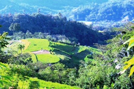 Berwisata di Atas Awan Pango-Pango, Indonesia 