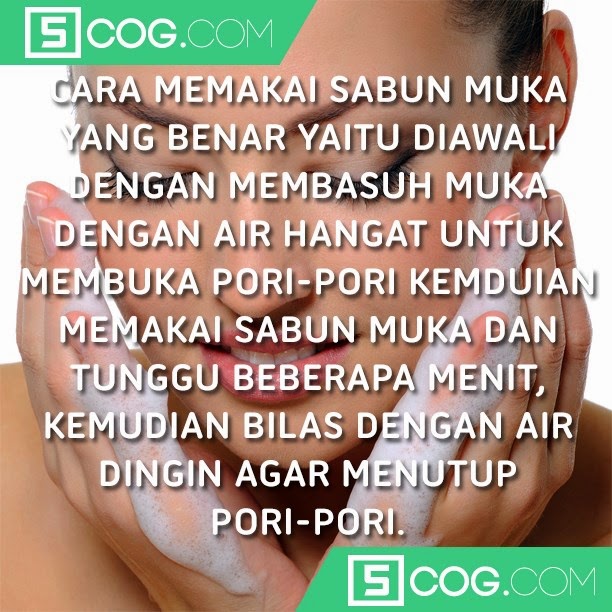 Fakta-Fakta Yang Harus Anda Tahu