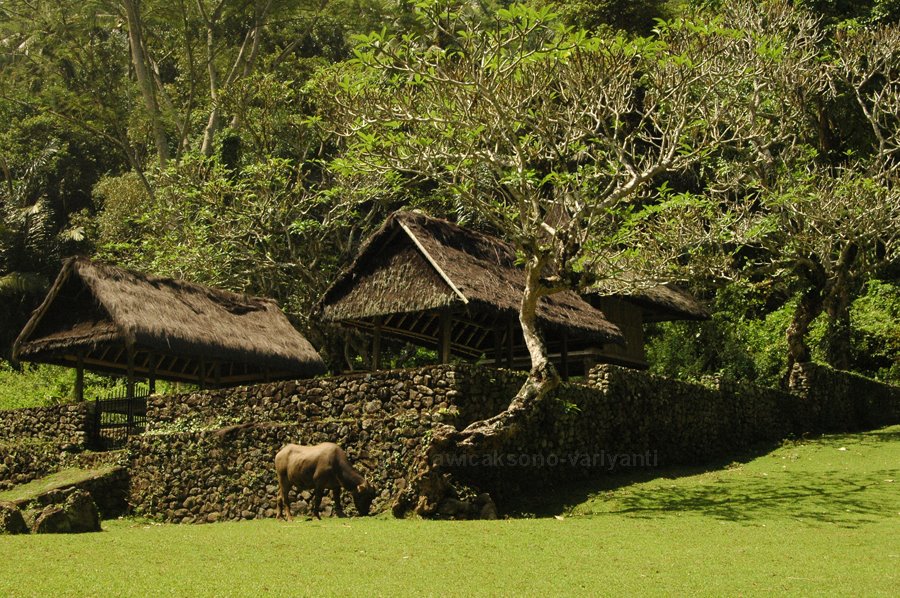 Desa-desa Indah di Bali