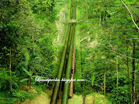 &#91;CoC Regional: Lokasi Wisata&#93; Jalan-Jalan ke Bukit Cinta Desa Kalipagu