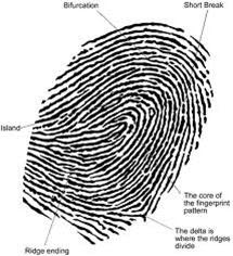 13 Sistem Identifikasi ALL ABOUT 13