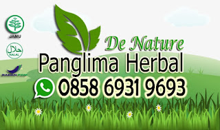 Pengobatan Penyakit Sifilis, Gonore Atau Kencing Nanah Secara Alami