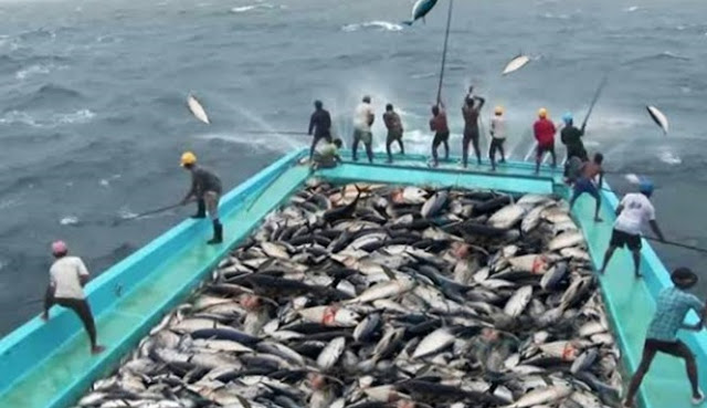Migas Hingga Ikan Melimpah, Hal Inilah yang Bikin China &lsquo;Betah Nyolong&rsquo; di Natuna