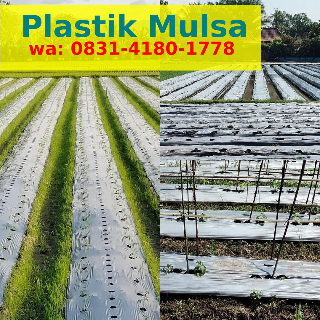 Produsen Mulsa Plastik Murah ౦8ᣮI–ᏎI8౦–Iᜪᜪ8{WhatsApp}