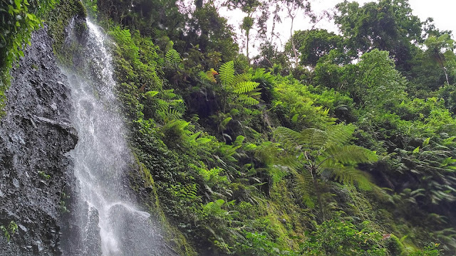 &#91;CatPer Pertama&#93; Curug Nangka, Bogor