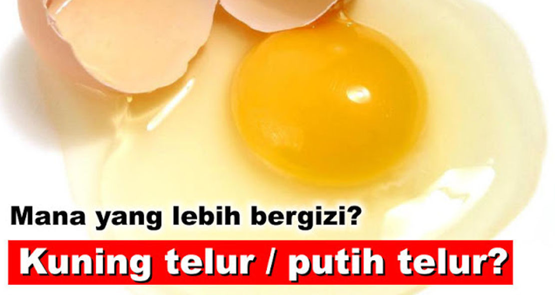 Perbedaan Kuning Dan Putih Telur Yang Wajib Kamu Tau ! 