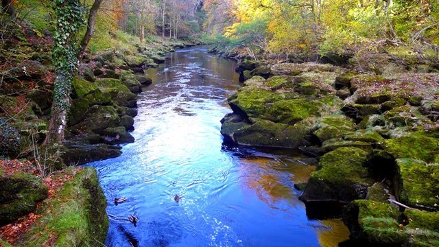 "Bolton Strid" Si Indah yang Mematikan