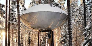 5 Rumah Pohon Paling Unik Di Dunia