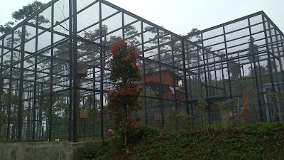 &#91;CoC Regional: Lokasi Wisata&#93; Caping Park Baturraden: Bermain, Berlibur dan Bela