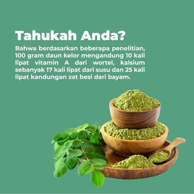 INI DIA Manfaat Daun Kelor Yang Efektif Tingkatkan Imunitas Tubuh Saat Pandemi Corona